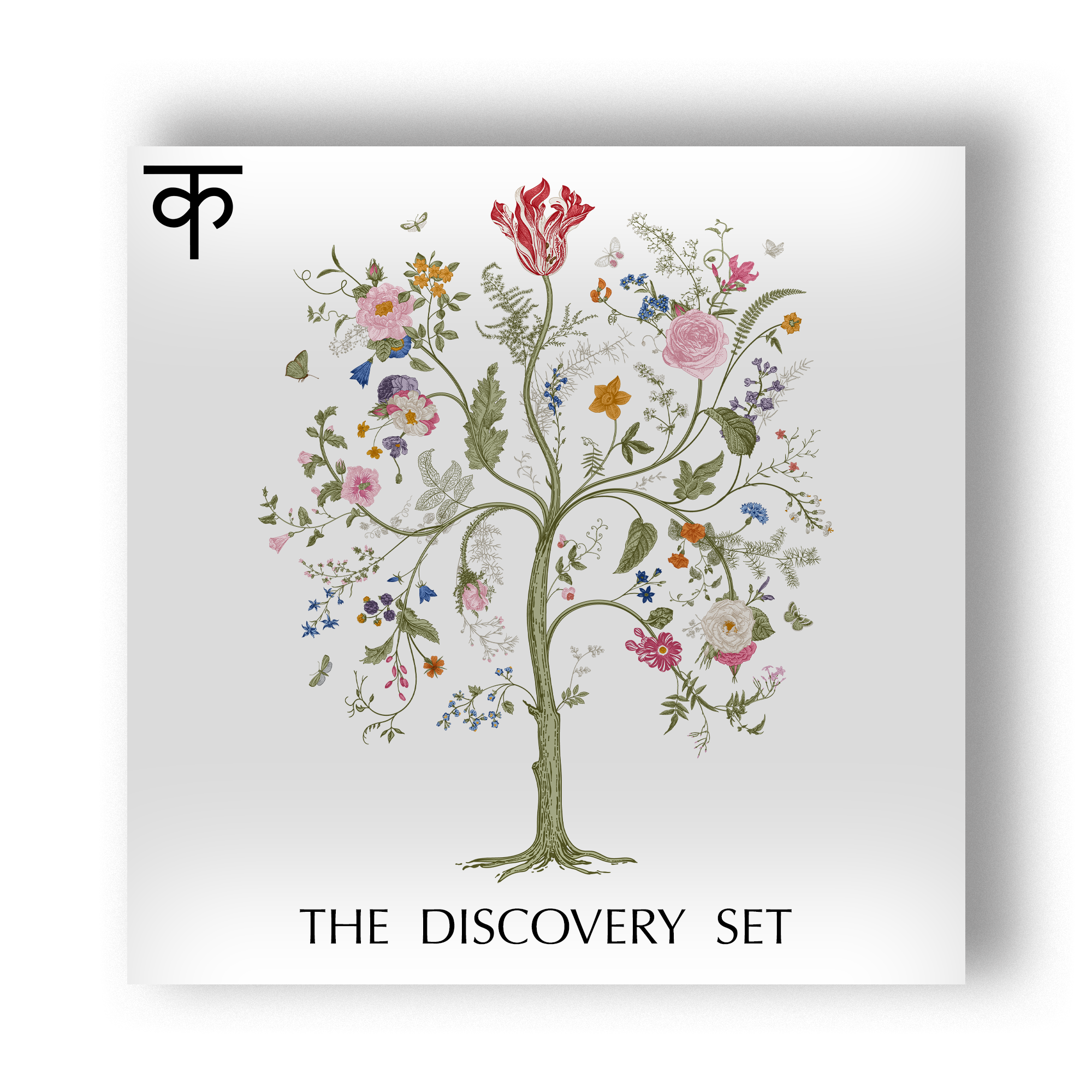 Elements | The Discovery Set